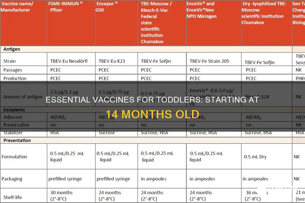 which vaccine start with at 14 months old