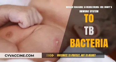 BCG Vaccine: How It Boosts Immunity Against TB Bacteria