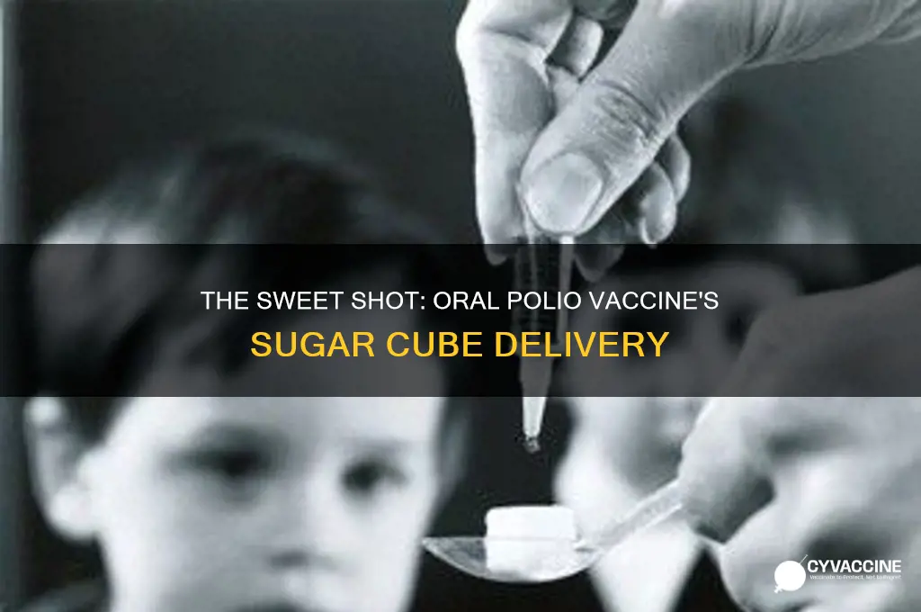 which vaccine was administered in a sugar cube