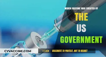 US Government's Role in Developing Key Vaccines: A Historical Overview