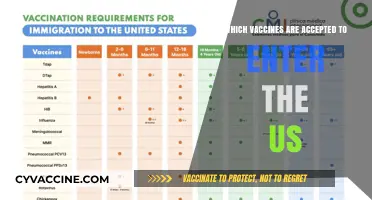 Accepted Vaccines for US Entry: A Comprehensive Guide for Travelers