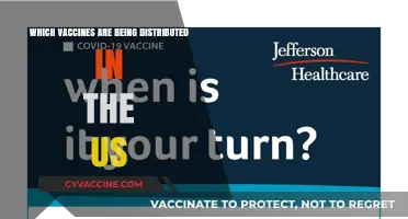 US Vaccine Distribution: Key Shots Protecting Americans Nationwide