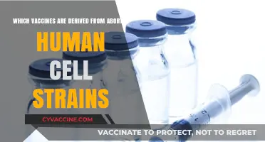 Vaccines Derived from Aborted Fetal Cells: Ethical Concerns Explained