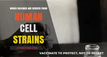 Human Cell Strains in Vaccines: Origins and Common Examples