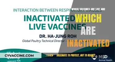 Live vs. Inactivated Vaccines: Understanding the Key Differences
