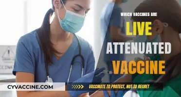 Understanding Live Attenuated Vaccines: Types, Benefits, and Common Examples