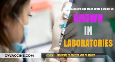Lab-Cultured Pathogens: Unveiling Vaccines Developed from Microbial Growth