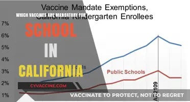 California School Vaccination Requirements: Essential Immunizations for Students