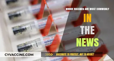 Top Vaccines Dominating Headlines: COVID-19, Flu, and Beyond Explained