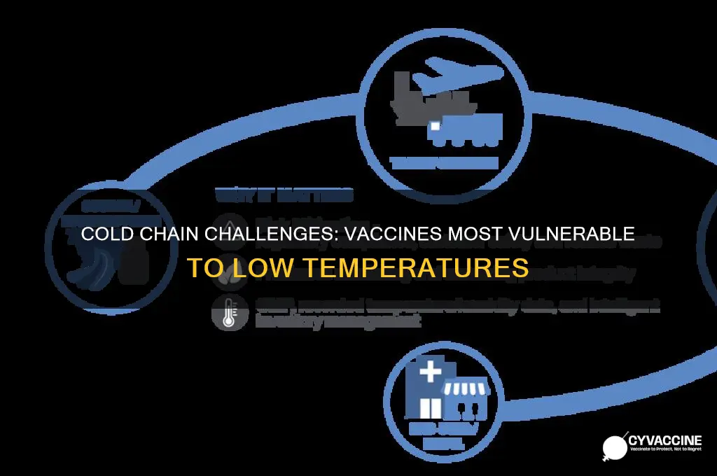 which vaccines are most susceptible to colder temperatures