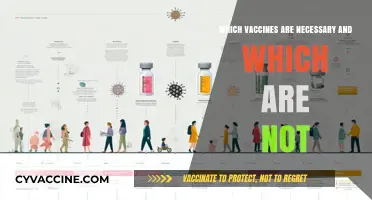 Essential Vaccines: Navigating Necessary Immunizations and Optional Shots