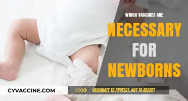 Essential Newborn Vaccines: Protecting Your Baby's Health from Day One