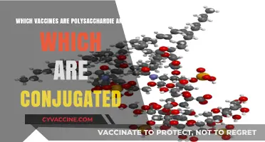 Polysaccharide vs. Conjugated Vaccines: Understanding Key Differences and Types