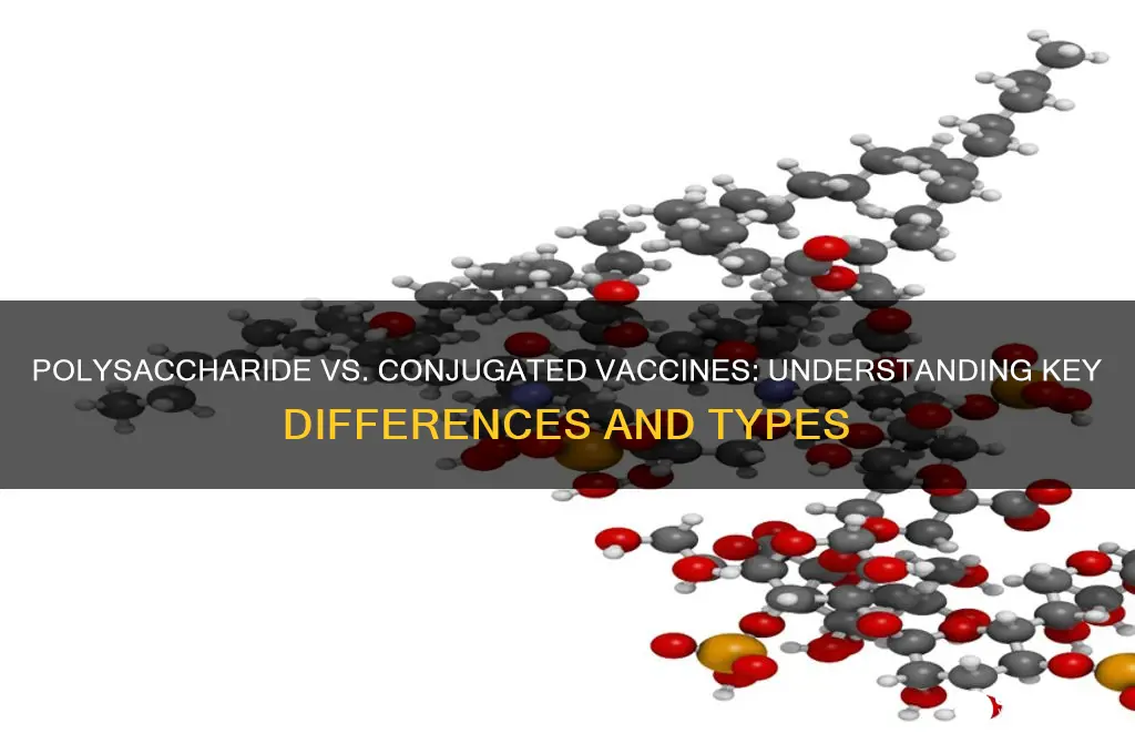 which vaccines are polysacchardie and which are conjugated