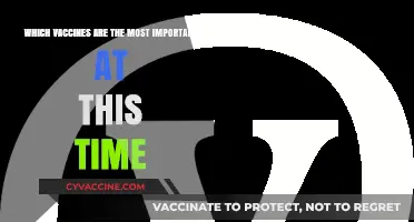 Essential Vaccines Today: Prioritizing Health in a Changing World