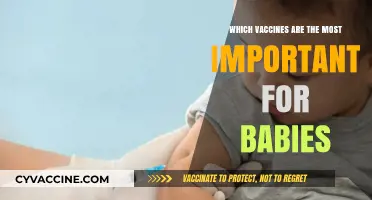 Essential Baby Vaccines: Protecting Your Infant's Health and Future