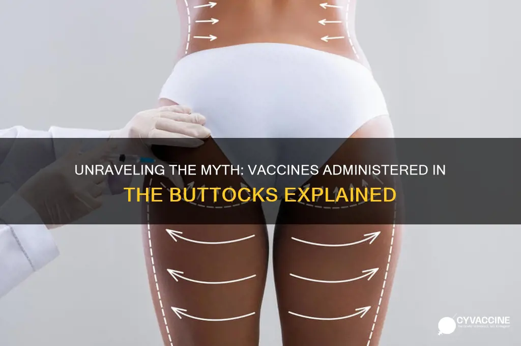 which vaccines do they shoot in your butt