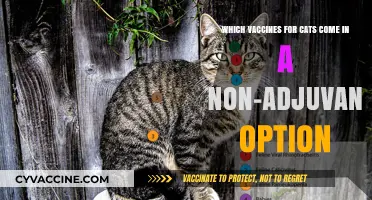 Non-Adjuvanted Cat Vaccines: Safe Options for Feline Health Protection