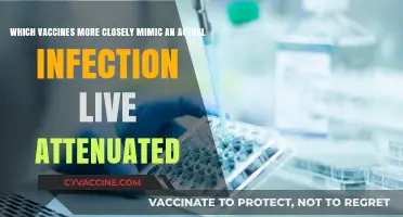 Live Attenuated Vaccines: Closely Mimicking Natural Infections for Stronger Immunity