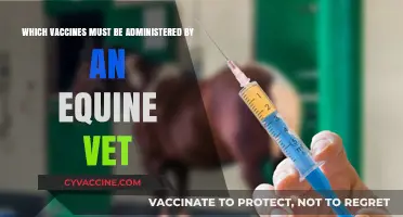 Essential Equine Vaccines: Vet-Administered Shots Your Horse Needs