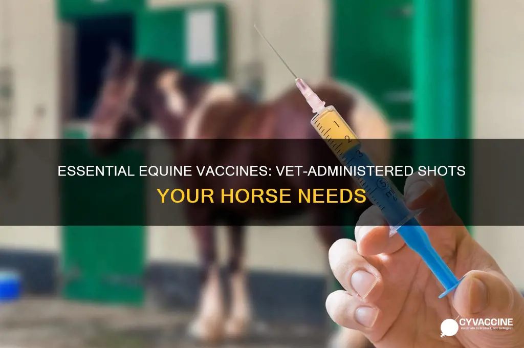 which vaccines must be administered by an equine vet