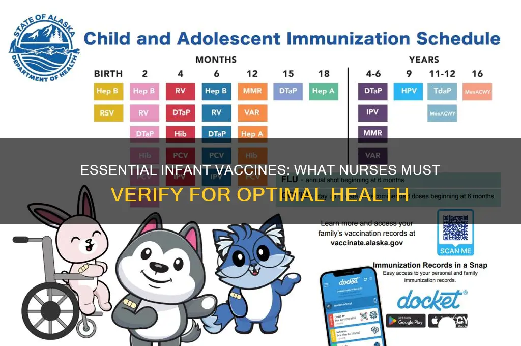 which vaccines should the nurse verify the infant has received