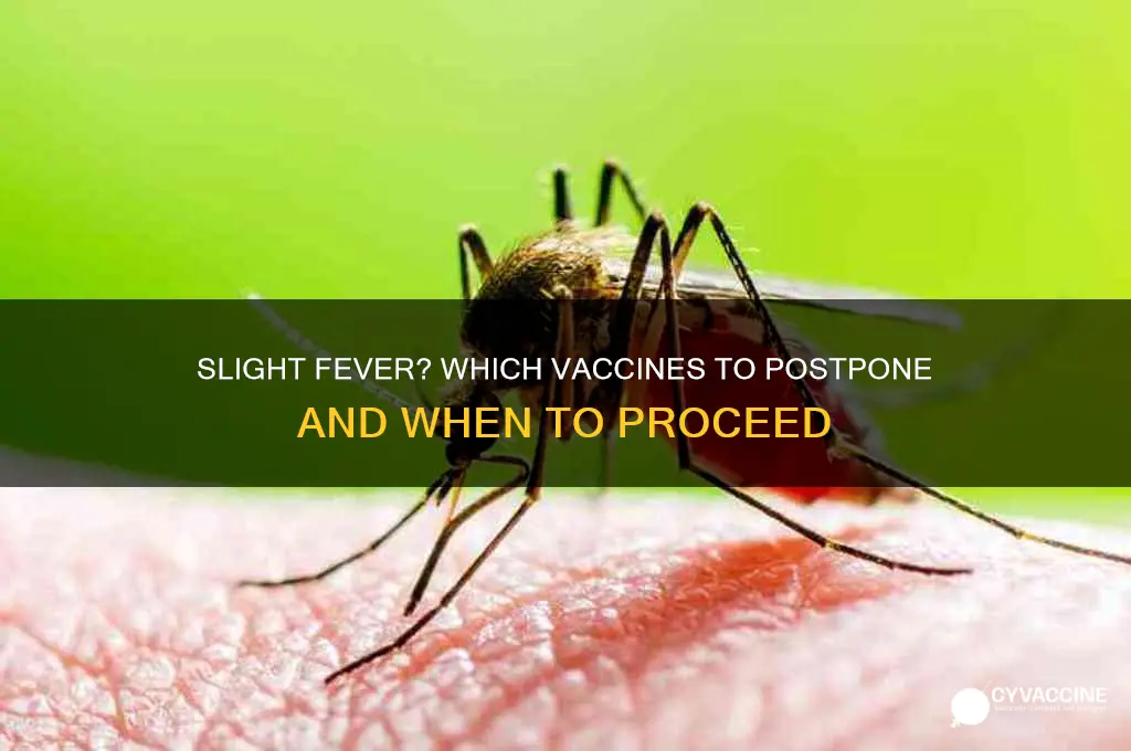 which vaccines to hold with a slight fever