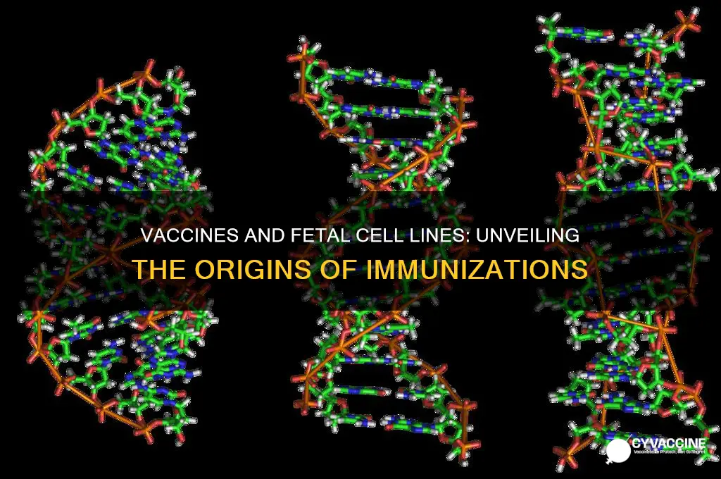 which vaccines were grown in fetal cell lines