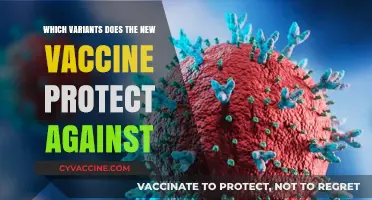 New Vaccine Protection: Variants Covered and Your Immunity Explained