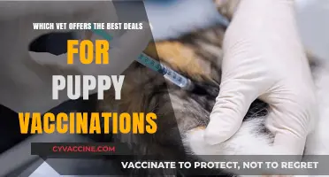 Affordable Puppy Vaccinations: Top Vets Offering the Best Deals