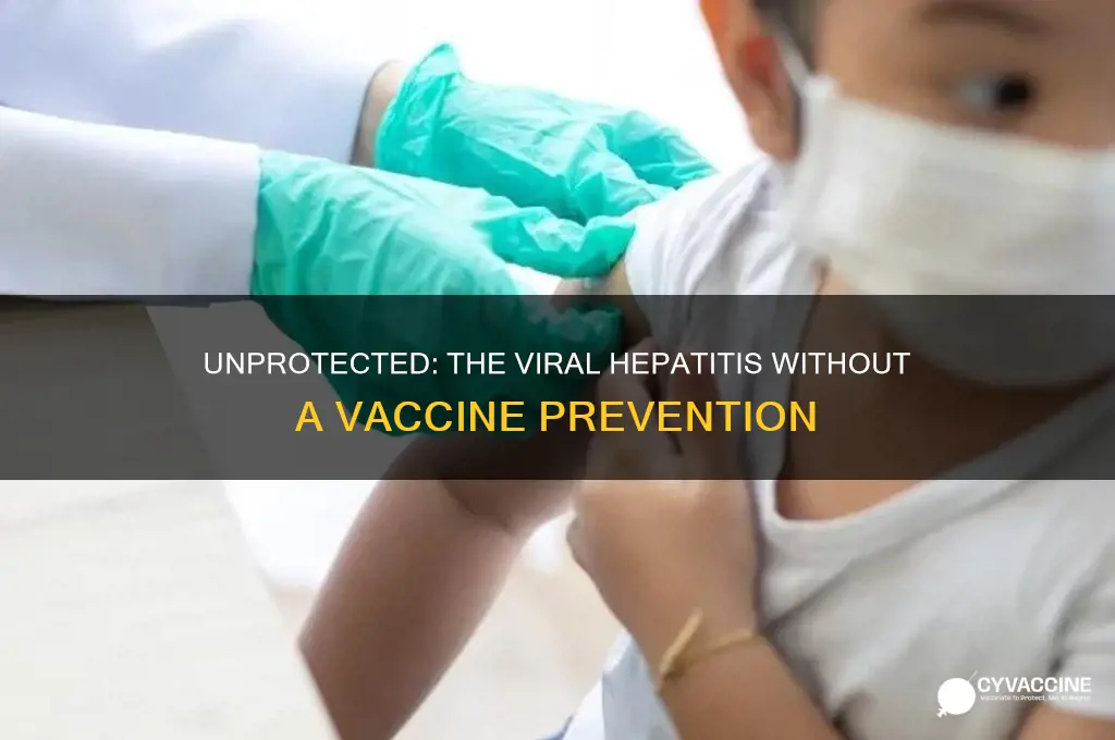 which viral hepatitis cannot be prevented by vaccine