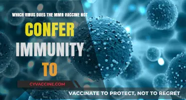 MMR Vaccine: Which Common Virus Remains Unprotected After Immunization?