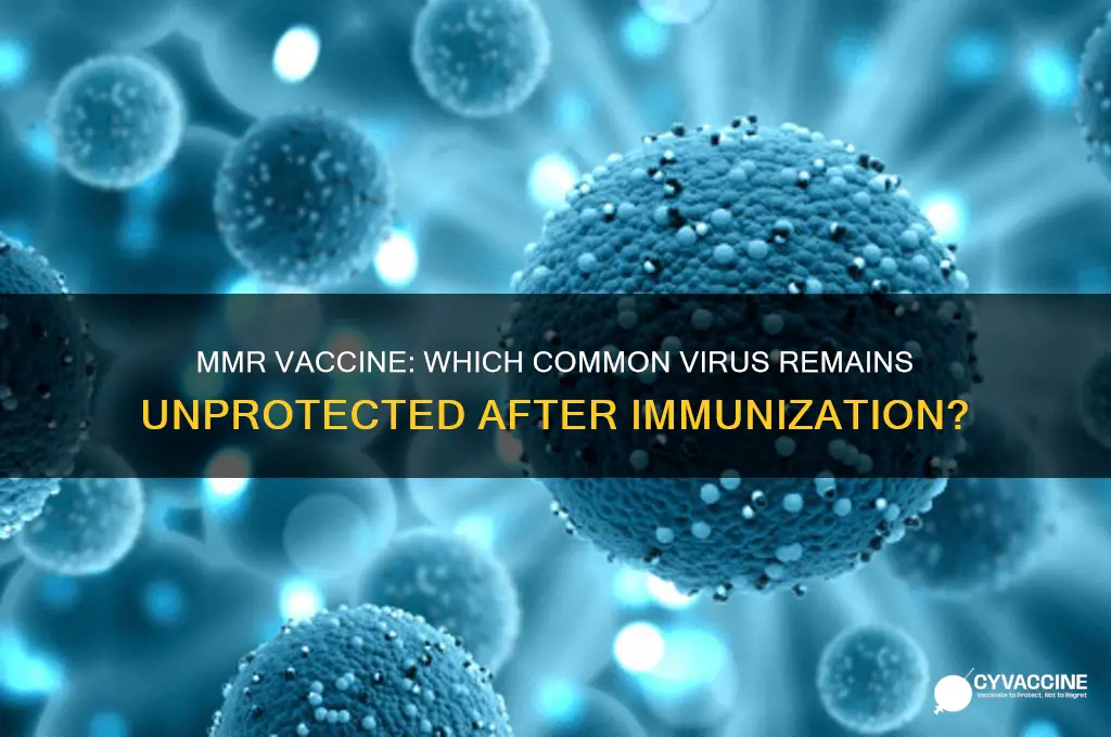 which virus does the mmr vaccine not confer immunity to