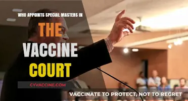Understanding Special Master Appointments in the Vaccine Court Process