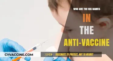 Unveiling the Influential Voices Behind the Anti-Vaccine Movement