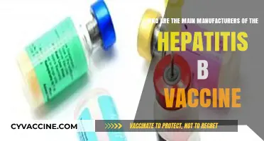 Leading Hepatitis B Vaccine Manufacturers: Key Producers and Global Suppliers