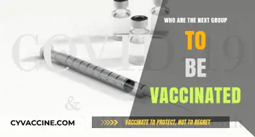 Next in Line: Who's Next for COVID-19 Vaccination Priority?