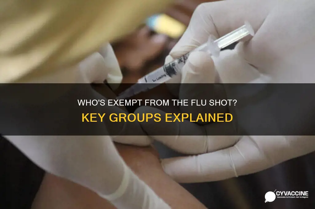 who are those exempt from the influenza vaccine