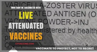 Who Should Avoid Live Attenuated Vaccines: Key Contraindications Explained