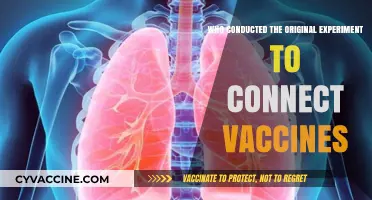 Unveiling the Pioneer: Who Conducted the Original Vaccine Connection Experiment?