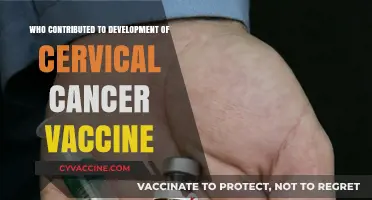 Pioneers Behind the Cervical Cancer Vaccine: A Lifesaving Breakthrough