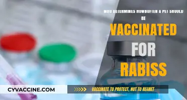 Who Decides Your Pet's Rabies Vaccination Schedule and Why?