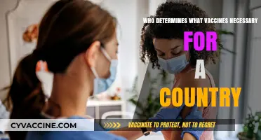 Who Decides a Country's Essential Vaccines and How?