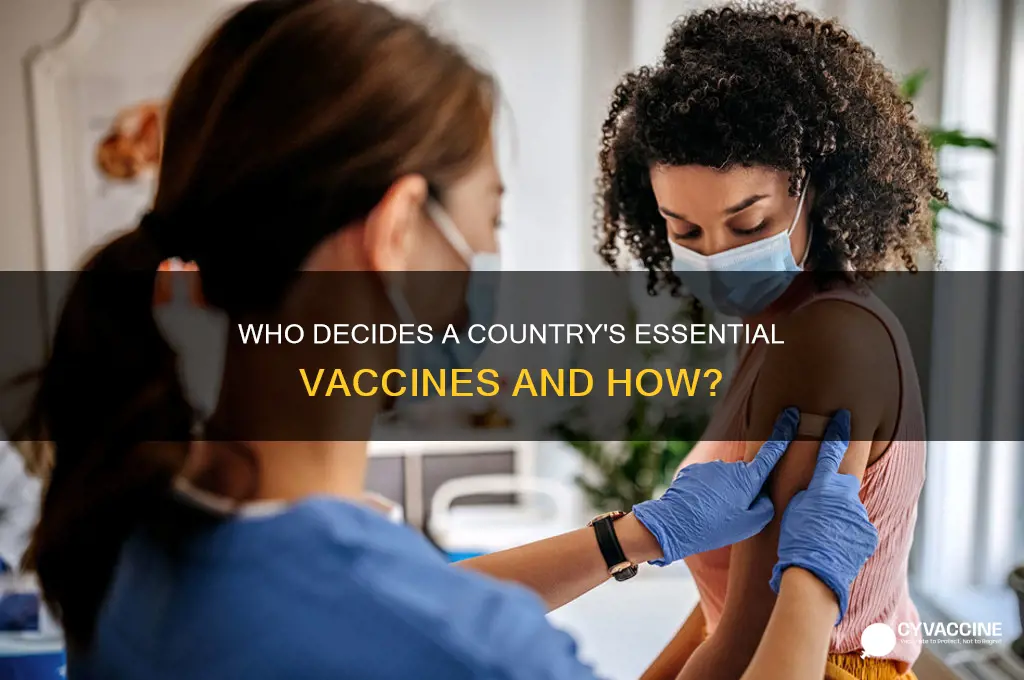 who determines what vaccines necessary for a country