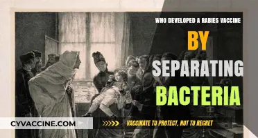 Louis Pasteur's Breakthrough: Developing Rabies Vaccine Through Bacteria Separation