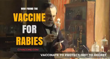 The Discovery of Rabies Vaccine: Louis Pasteur's Lifesaving Breakthrough