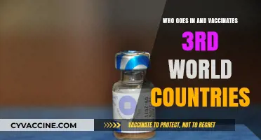 Global Health Heroes: Who Vaccinates Third World Countries?