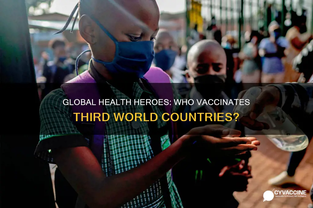 who goes in and vaccinates 3rd world countries