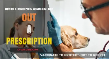 Can You Get a Straight Parvo Vaccine Shot Without a Prescription?