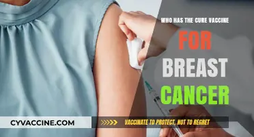 Breast Cancer Cure Vaccine: Who Holds the Key to Prevention?